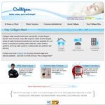 Culligan Franchisees Culligan Franchisees