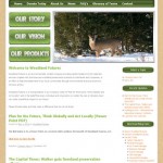 Woodland Futures Woodland Futures