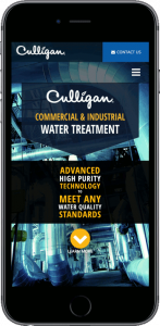 Culligan Industrial Water Web Development